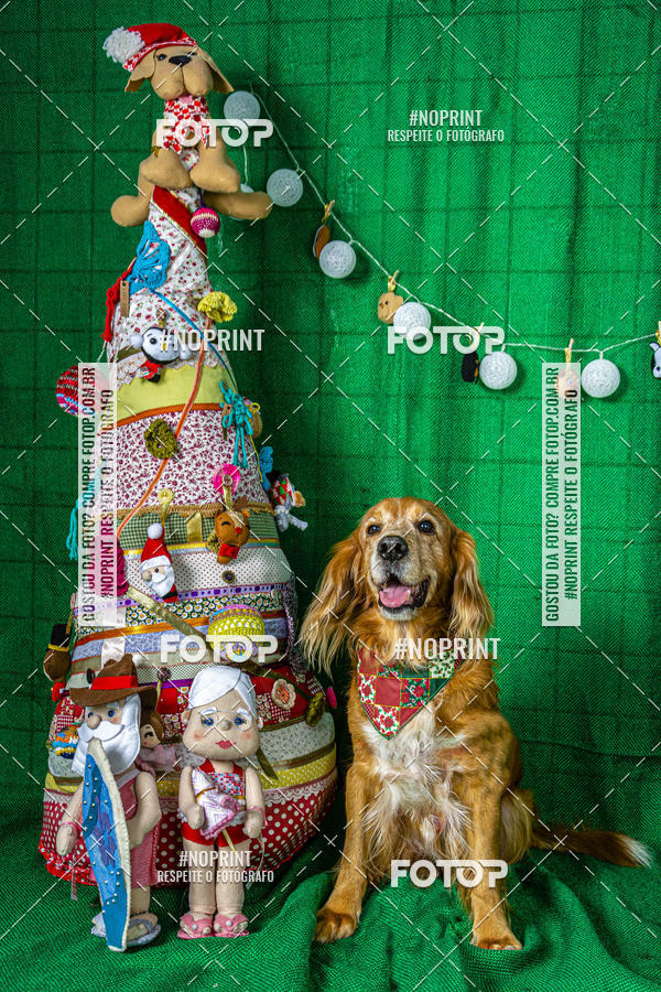 Buy your photos of the eventFotografia Pet Veterin�ria S�o Francisco on Fotop