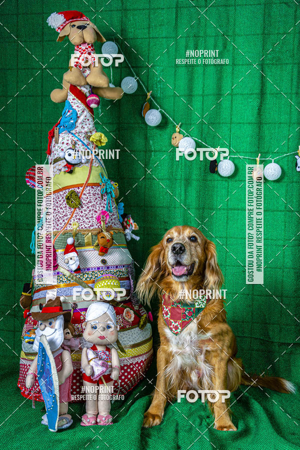 Buy your photos of the eventFotografia Pet Veterin�ria S�o Francisco on Fotop