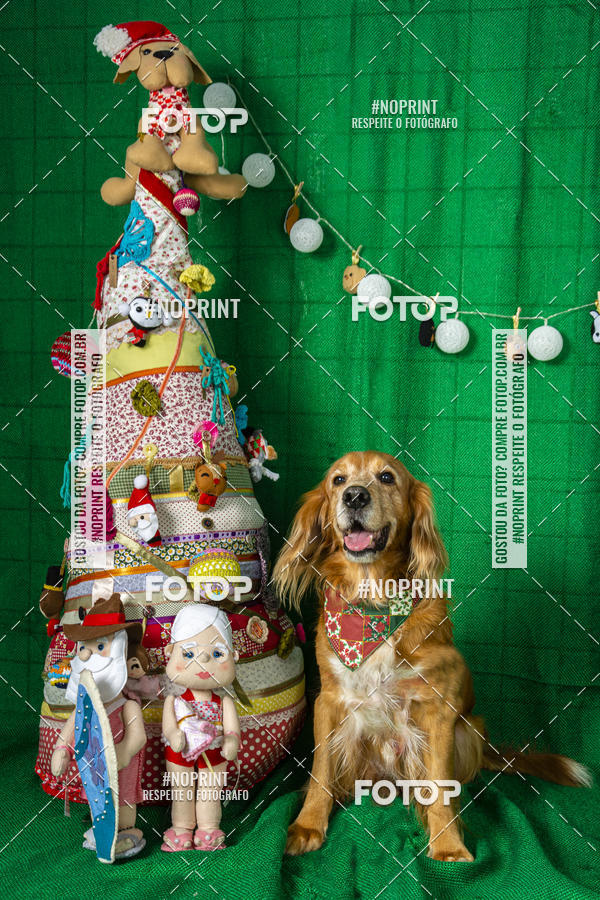 Buy your photos of the eventFotografia Pet Veterin�ria S�o Francisco on Fotop