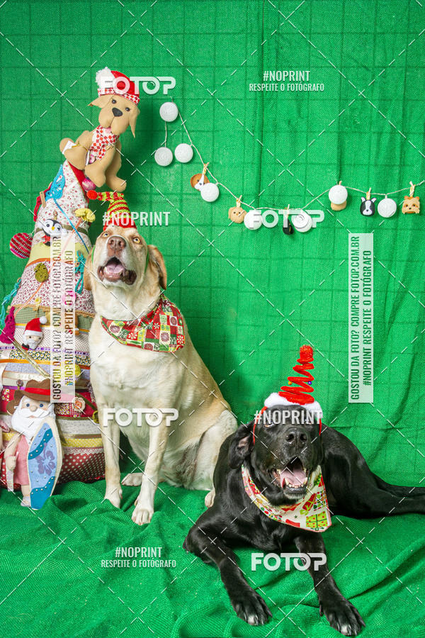 Buy your photos of the eventFotografia Pet Veterin�ria S�o Francisco on Fotop