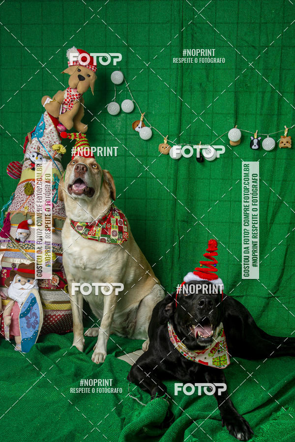 Buy your photos of the eventFotografia Pet Veterin�ria S�o Francisco on Fotop