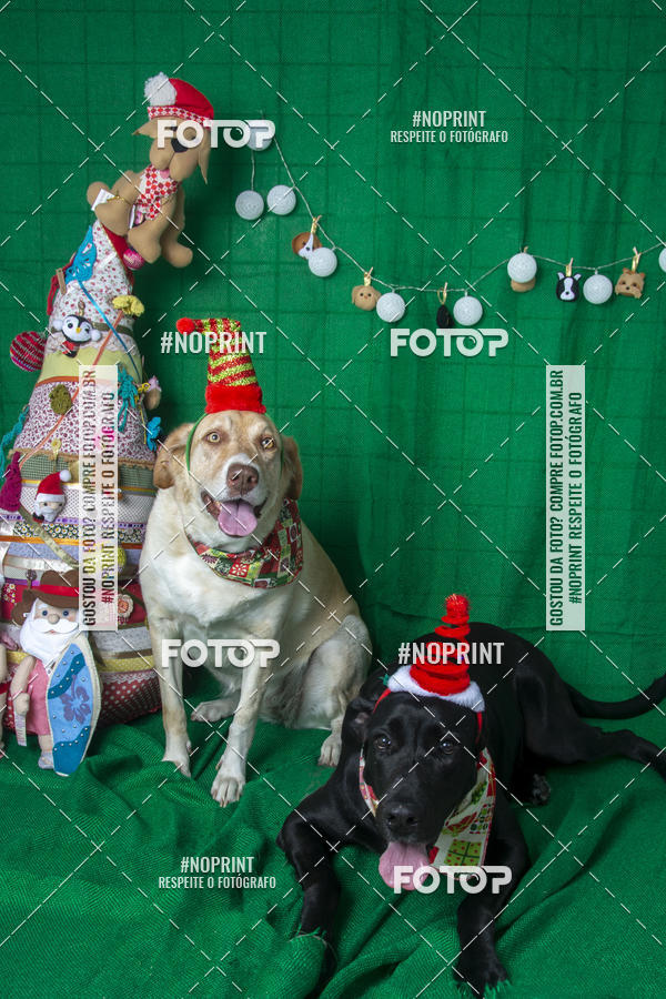 Buy your photos of the eventFotografia Pet Veterin�ria S�o Francisco on Fotop