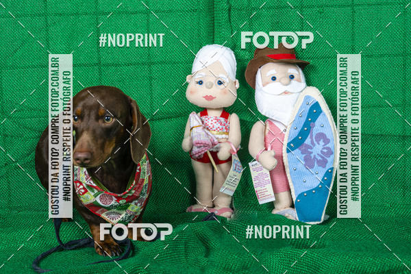 Buy your photos of the eventFotografia Pet Veterin�ria S�o Francisco on Fotop