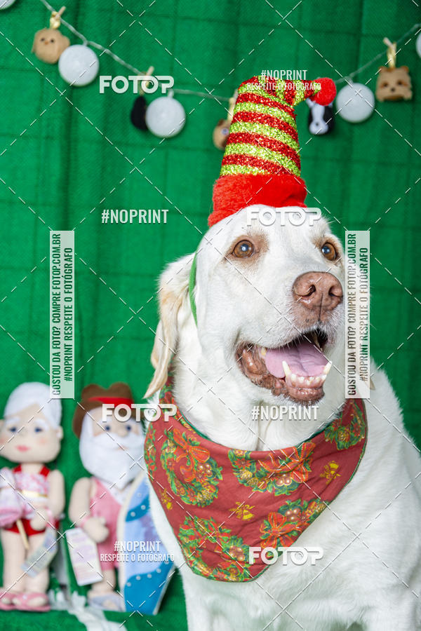 Buy your photos of the eventFotografia Pet Veterin�ria S�o Francisco on Fotop