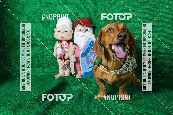 Buy your photos of the eventFotografia Pet Veterin�ria S�o Francisco on Fotop