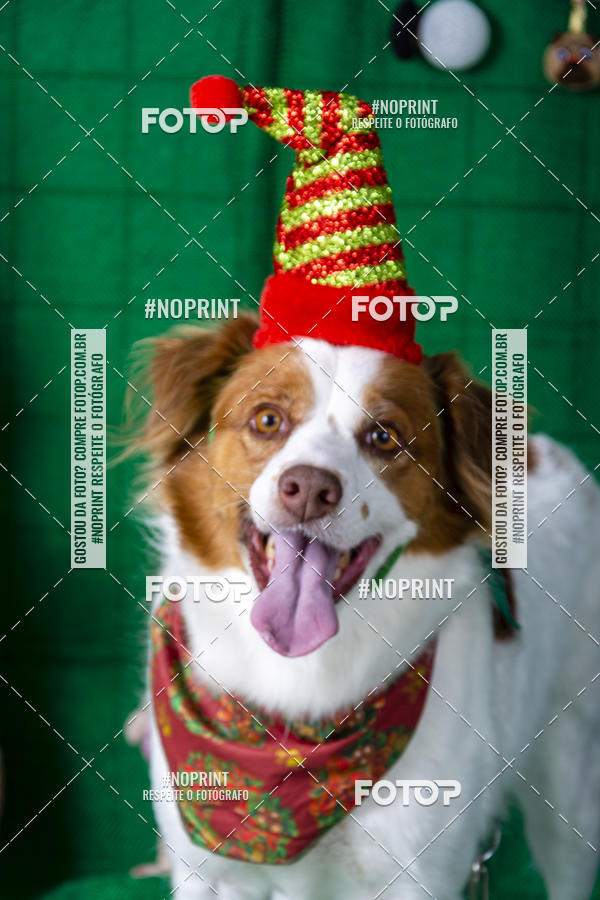 Buy your photos of the eventFotografia Pet Veterin�ria S�o Francisco on Fotop