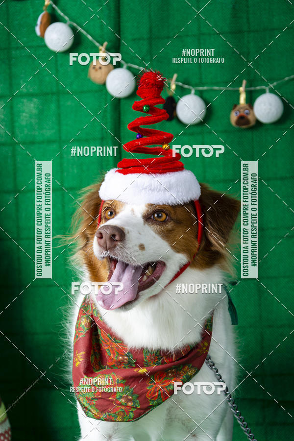 Buy your photos of the eventFotografia Pet Veterin�ria S�o Francisco on Fotop