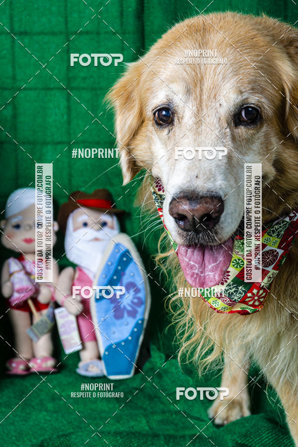 Buy your photos of the eventFotografia Pet Veterin�ria S�o Francisco on Fotop