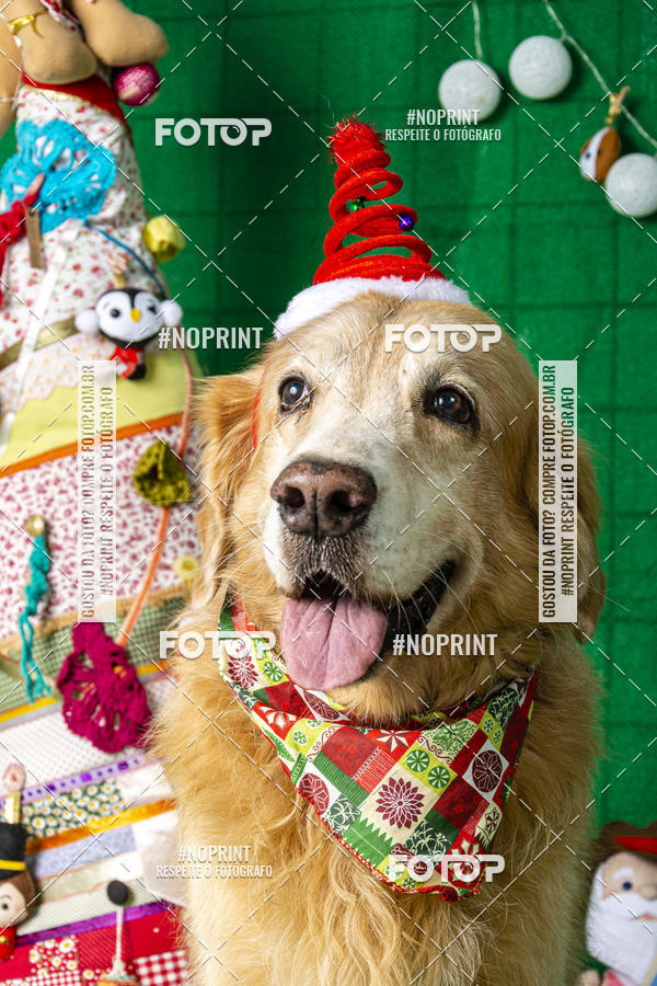 Buy your photos of the eventFotografia Pet Veterin�ria S�o Francisco on Fotop