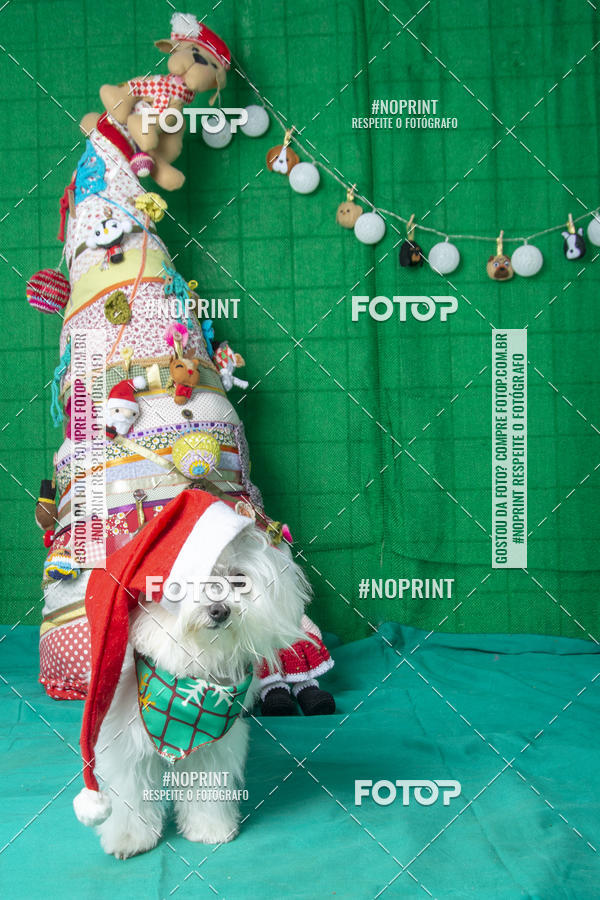 Buy your photos of the eventFotografia Pet Veterin�ria S�o Francisco on Fotop