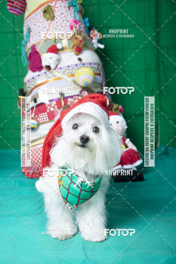 Buy your photos of the eventFotografia Pet Veterin�ria S�o Francisco on Fotop