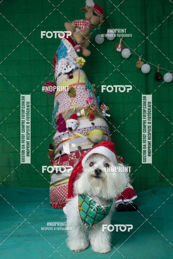Buy your photos of the eventFotografia Pet Veterin�ria S�o Francisco on Fotop