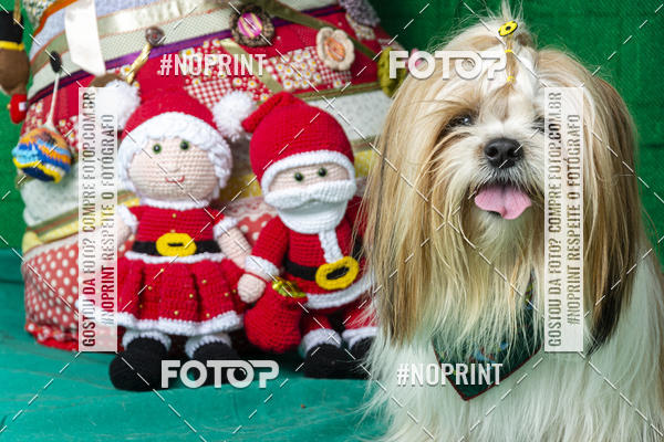 Buy your photos of the eventFotografia Pet Veterin�ria S�o Francisco on Fotop