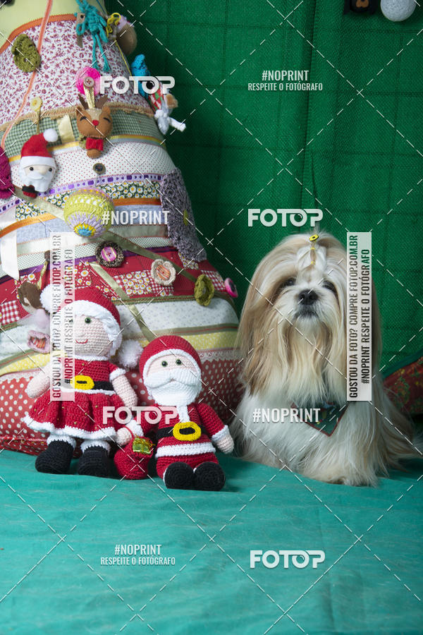 Buy your photos of the eventFotografia Pet Veterin�ria S�o Francisco on Fotop