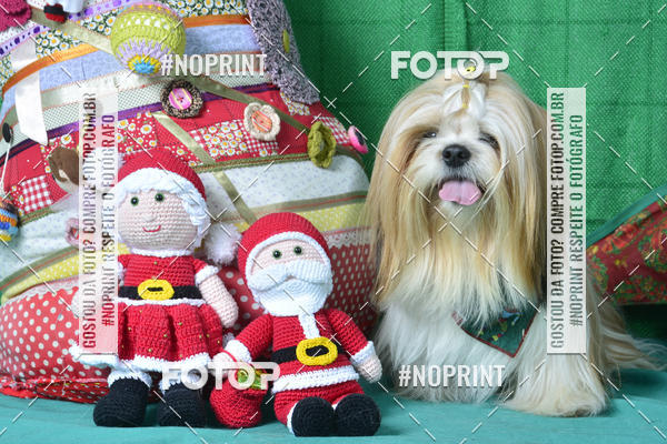 Buy your photos of the eventFotografia Pet Veterin�ria S�o Francisco on Fotop