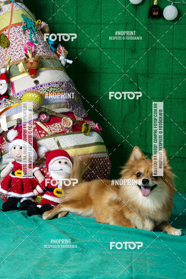 Buy your photos of the eventFotografia Pet Veterin�ria S�o Francisco on Fotop