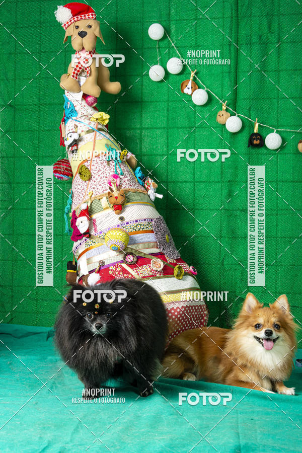 Buy your photos of the eventFotografia Pet Veterin�ria S�o Francisco on Fotop