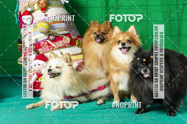 Buy your photos of the eventFotografia Pet Veterin�ria S�o Francisco on Fotop