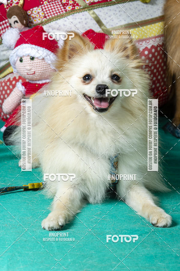 Buy your photos of the eventFotografia Pet Veterin�ria S�o Francisco on Fotop