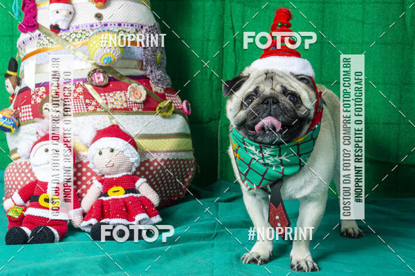 Buy your photos of the eventFotografia Pet Veterin�ria S�o Francisco on Fotop