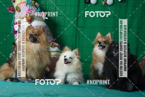 Buy your photos of the eventFotografia Pet Veterin�ria S�o Francisco on Fotop