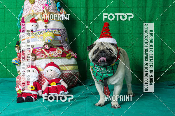 Buy your photos of the eventFotografia Pet Veterin�ria S�o Francisco on Fotop