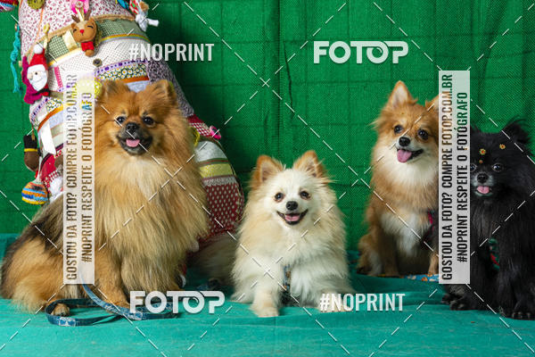Buy your photos of the eventFotografia Pet Veterin�ria S�o Francisco on Fotop