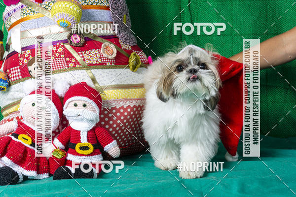 Buy your photos of the eventFotografia Pet Veterin�ria S�o Francisco on Fotop