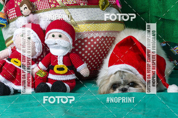 Buy your photos of the eventFotografia Pet Veterin�ria S�o Francisco on Fotop