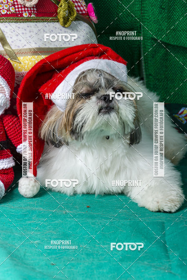 Buy your photos of the eventFotografia Pet Veterin�ria S�o Francisco on Fotop