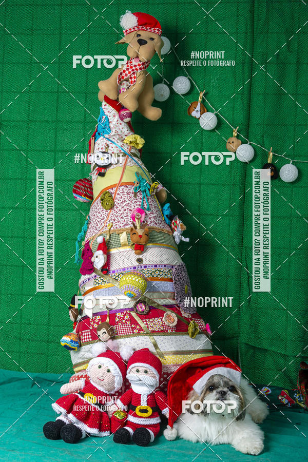 Buy your photos of the eventFotografia Pet Veterin�ria S�o Francisco on Fotop