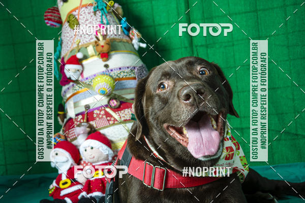 Buy your photos of the eventFotografia Pet Veterin�ria S�o Francisco on Fotop