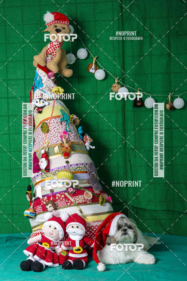 Buy your photos of the eventFotografia Pet Veterin�ria S�o Francisco on Fotop