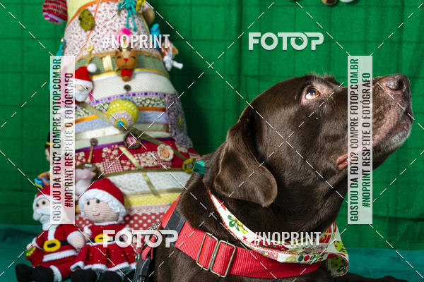 Buy your photos of the eventFotografia Pet Veterin�ria S�o Francisco on Fotop