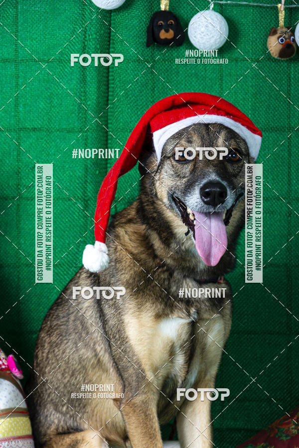 Buy your photos of the eventFotografia Pet Veterin�ria S�o Francisco on Fotop