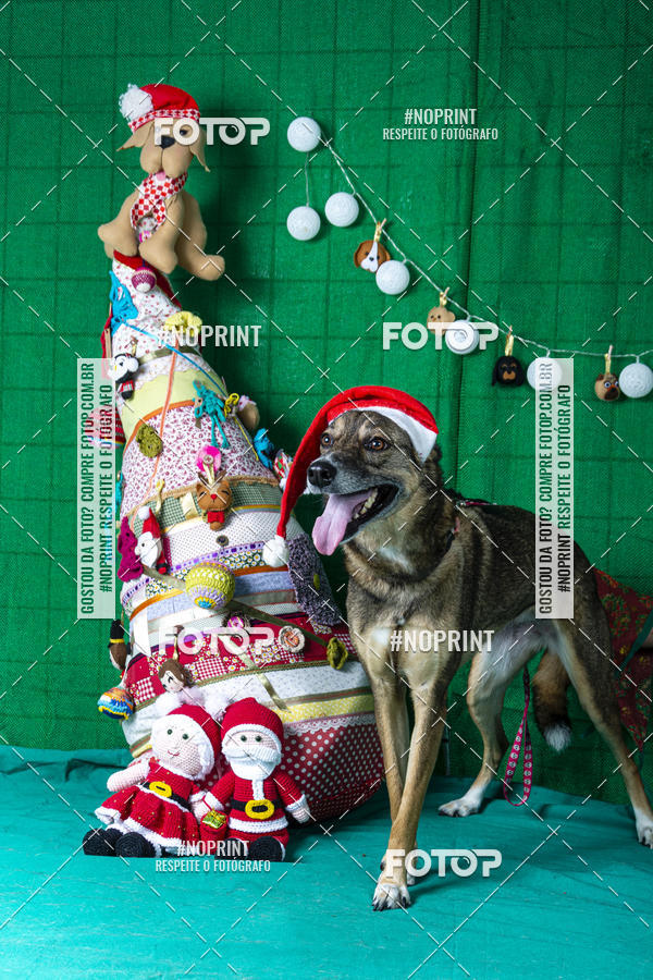 Buy your photos of the eventFotografia Pet Veterin�ria S�o Francisco on Fotop