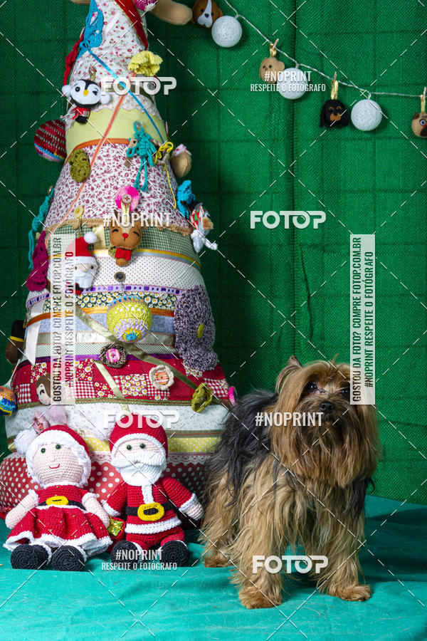 Buy your photos of the eventFotografia Pet Veterin�ria S�o Francisco on Fotop