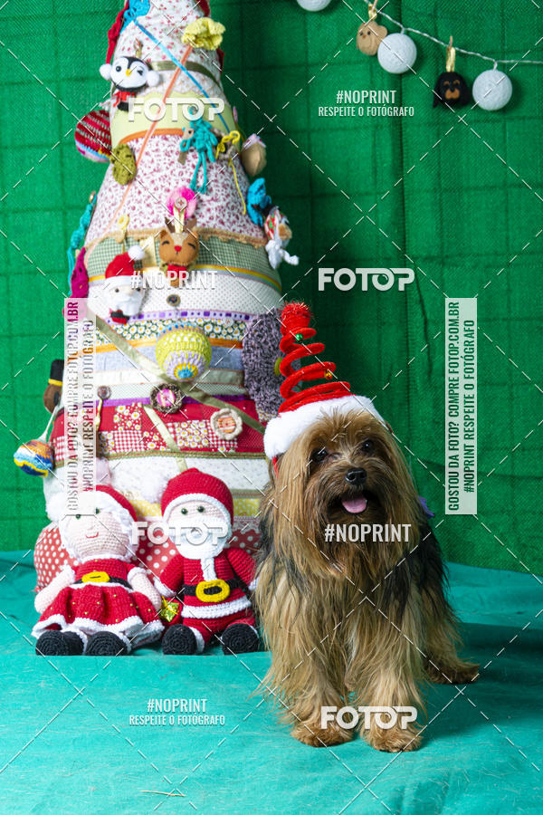 Buy your photos of the eventFotografia Pet Veterin�ria S�o Francisco on Fotop