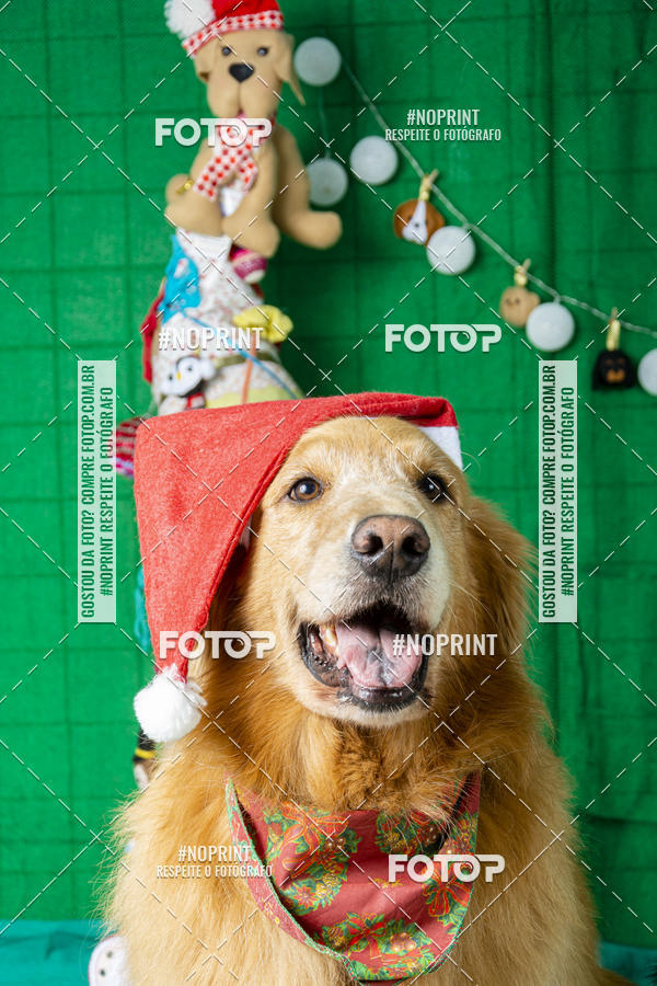 Buy your photos of the eventFotografia Pet Veterin�ria S�o Francisco on Fotop