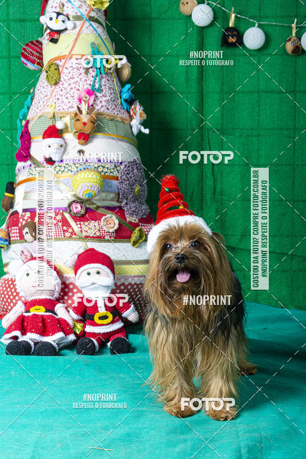 Buy your photos of the eventFotografia Pet Veterin�ria S�o Francisco on Fotop