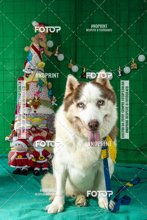 Buy your photos of the eventFotografia Pet Veterin�ria S�o Francisco on Fotop