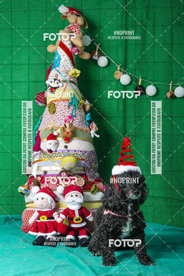 Buy your photos of the eventFotografia Pet Veterin�ria S�o Francisco on Fotop