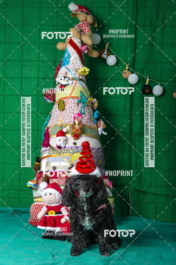 Buy your photos of the eventFotografia Pet Veterin�ria S�o Francisco on Fotop