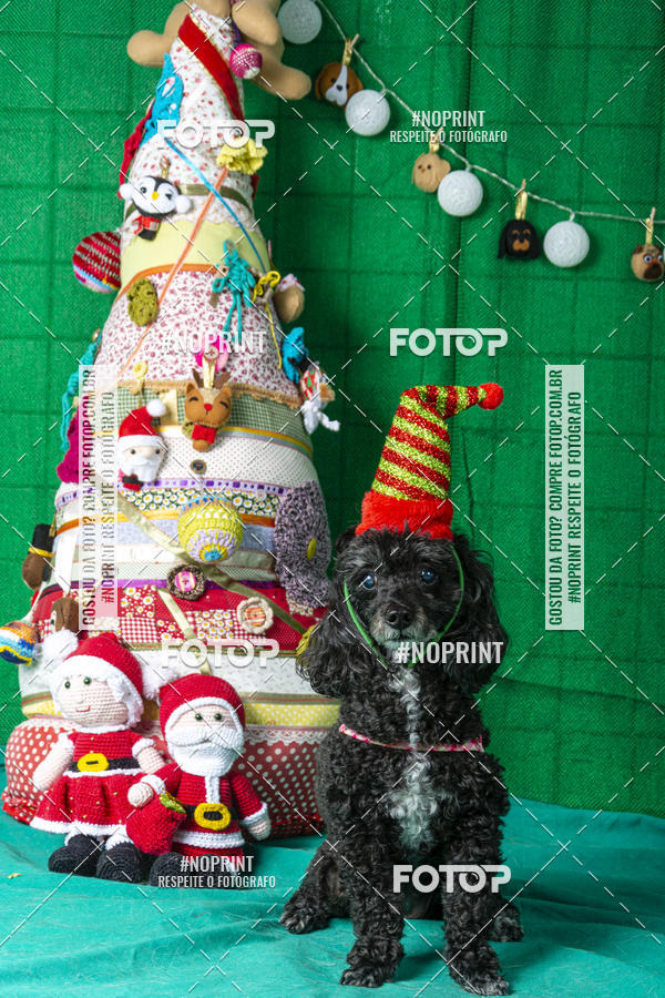 Buy your photos of the eventFotografia Pet Veterin�ria S�o Francisco on Fotop