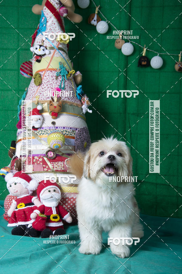 Buy your photos of the eventFotografia Pet Veterin�ria S�o Francisco on Fotop