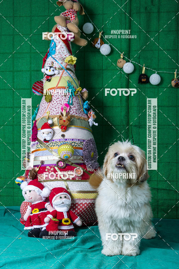 Buy your photos of the eventFotografia Pet Veterin�ria S�o Francisco on Fotop