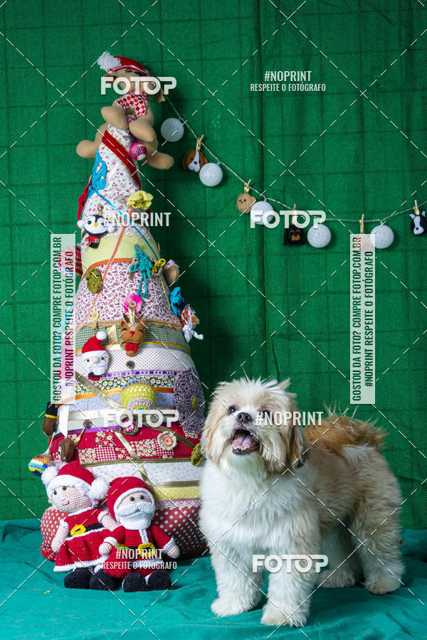 Buy your photos of the eventFotografia Pet Veterin�ria S�o Francisco on Fotop