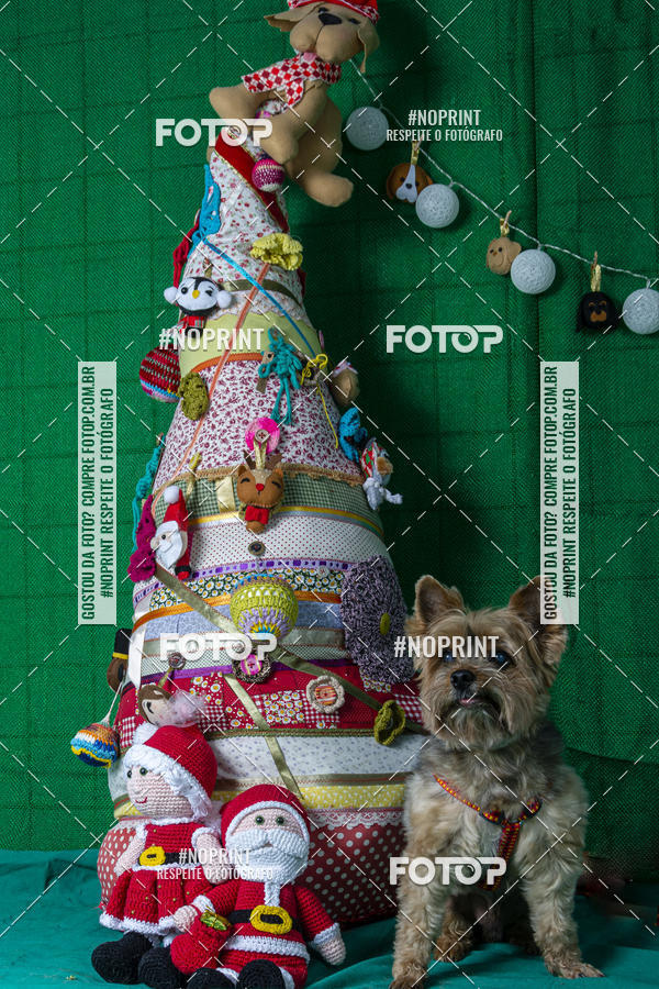Buy your photos of the eventFotografia Pet Veterin�ria S�o Francisco on Fotop