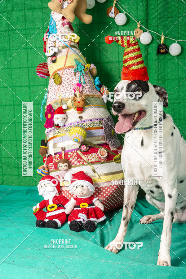 Buy your photos of the eventFotografia Pet Veterin�ria S�o Francisco on Fotop