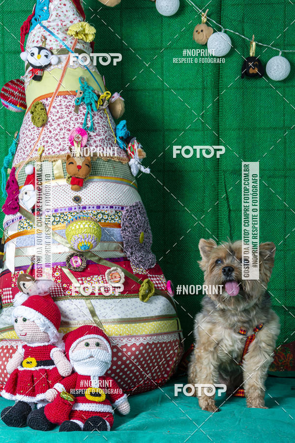Buy your photos of the eventFotografia Pet Veterin�ria S�o Francisco on Fotop
